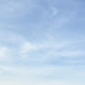 Meet your Posher, Rose